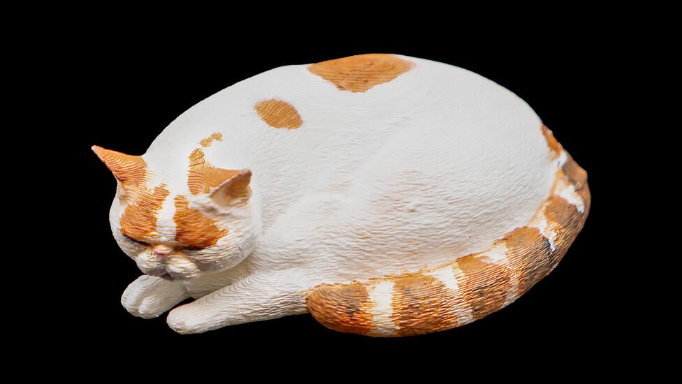 cat1