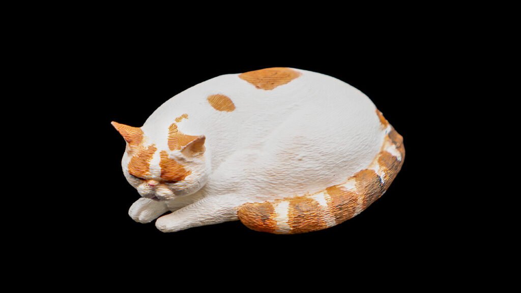 cat1