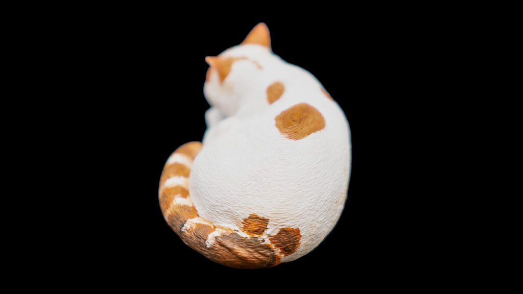 cat2