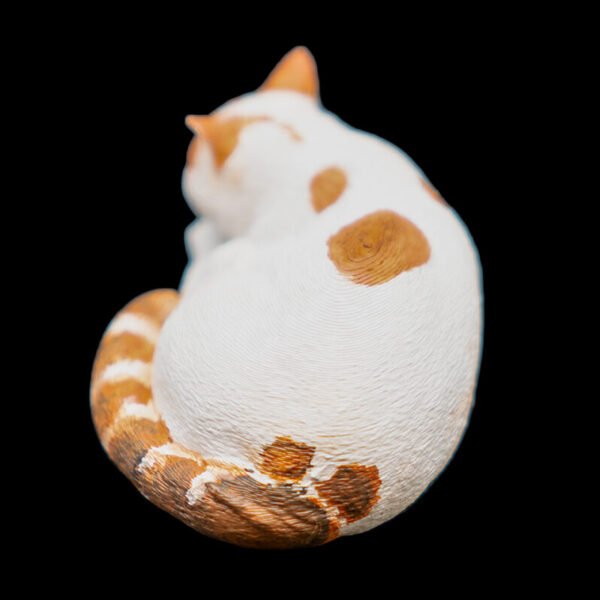 cat2