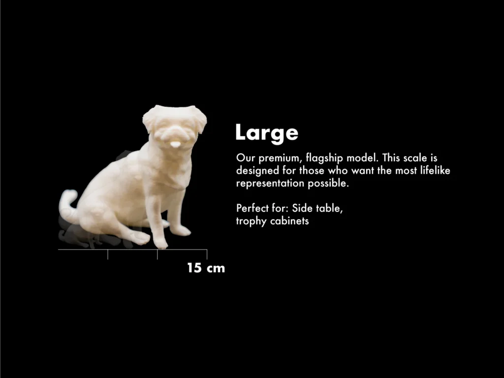 large(updated)